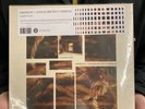 Merzbow / Genesis Breyer P-Orridge - A Perfect Pain Vinyl Record LP SEALED