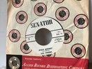 OBSCURE Teen ROCKER   LISA ANDERS Liz Anderson SPACE MONKEY Senator 45 mint NOS