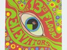 13th Floor Elevators - The Psychedelic Sounds Of - [GreenRed 2LP] - Free US Ship