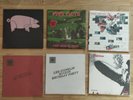 Bundle Daylen - PF - LZ - RS