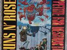 Guns N Roses Appetite For Destruction 12 Inch LP 924148