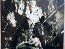 Fields Of The Nephilim - Elizium 1991er durchsichtig grünes Vinyl