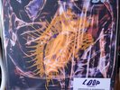 Loop - Sonancy/2022 LP + Bonus 12