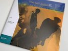 The Flaming Lips The Soft Bulletin Mustard Yellow Vinyl Record VMP 20th