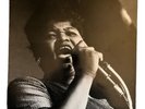 Big Mama Thornton LP Muddy Waters Blues Band Arhoolie F1032 Chicago Vinyl Shrink