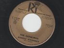 SURF GARAGE INSTROS 45 - CATALINAS - BANZAI WASHOUT - HEAR - 1964 RIC