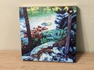 Joni Mitchell The Asylum Albums (1972-1975) 5 LP vinyl box set 2022 READ DESCRIP