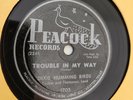78 Peacock 1705 DIXIE HUMMING BIRDS:
