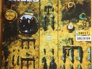 Screaming Trees Sweet Oblivion reissue vinyl LP NEW/SEALED