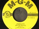 HANK WILLIAMS: jambalaya MGM 7
