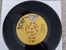ZZ Top Salt Lick Rare 45rpm Scat Label 45-500/ Classic Rock / Single