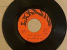 HEAR  RARE EX FUNK PSYCH 45 Sounds Of Black Lake Side