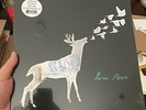 LOW ROAR Self-titled album (10th anniversary edition) | 2x LP Clear Vinyl | NEW