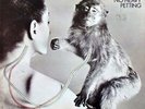 Ufo No Heavy Petting ORIGINAL UK NEAR MINT Chrysalis Vinyl LP