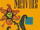Melvins - Stag - Vinyl Record LP 180g Import