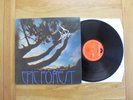 RARE BIRD, EPIC FOREST 1972 UK FIRST PRESS PROG VINYL LP EXC+ TOP AUDIO EXC SLV