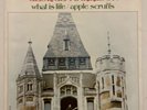 GEORGE HARRISON WHAT IS LIFE ORIGINAL APPLE PICTURE SLEEVE 1828 NO SPLITS EX