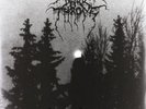 Darkthrone - Panzerfaust - LP Vinyl - NEW