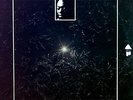 Dewey Redman - Look For The Black Star LP (VG+/VG) .