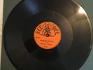 THE DELL-VIKINGS-COME GO WITH ME/HOW CAN I FIND TRUE LOVE, FEE BEE 205 , 78rpm.