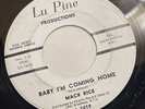 MACK RICE   BABY I’M COMING HOME   LU PINE L-1019 “PROMO”   Northern Soul 45
