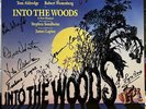 INTO THE WOODS - Original Broadway Cast Signed LP Broadway Sondheim Poster