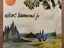 Albert Hammond Jr - Yours to Keep vinyl LP (OOP & RARE ) (STROKES RSD)