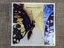 Moonspell - The Butterfly Effect LP Schallplatte Vinyl - Colour splatter Vinyl