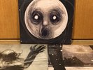 STEVEN WILSON: The Raven That Refused To Sing, and Other Stories (2xLP vinyl))