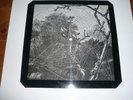 Cassle - picture disc Azra Shape midnight fantasy 1983