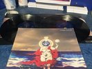 Julian Cope: Peggy Suicide, 1991, Double Gatefold Lp, Island