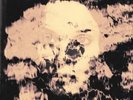 The Underground Youth Beautiful & Damned (Vinyl) 10