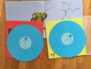 BRIAN JONESTOWN MASSACRE POL POT’S PLEASURE PENTHOUSE BLUE COLOR VINYL 2LP