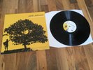 JACK JOHNSON IN BETWEEN DREAMS LP ORIGINAL 180 GRAM VINYL VG++