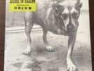 Alice In Chains Self Titled SEALED W STICKER 1995 1st press 1995 Vinyl Record