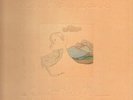 Joni Mitchell Court And Spark GATEFOLD COVER Asylum Vinyl LP