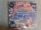 Vinyl 12