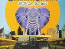 Southern Avenue - Be The Love You Want (LP) - Vinyl Blues