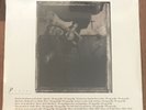 Pixies - Surfer Rosa LP [Vinyl New] Brand New Sealed Record Album 4AD Reissue