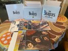 The Beatles in Mono Vinyl Box Set 2014 - NM