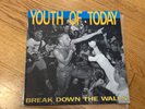Youth Of Today Break Down The Walls LP Revelation 1988 Gorilla Biscuits Judge