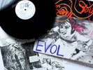 ORIGINAL 1986 SONIC YOUTH EVOL VINYL LP EX+ RICHARD KERN PHOTO COVER RARE