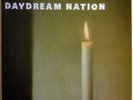 Sonic Youth - Daydream Nation 4 LP Box Set 2007 Goofin'