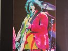 Leslie West Mountain MINT Japan pressing 12'' vinyl Lp 1973