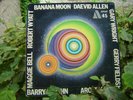 Disque 33tours*Daevid ALLEN