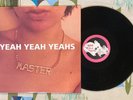 Yeah Yeah Yeahs Debut 12