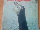 FLEETWOOD MAC THE PIOUS BIRD OF GOOD OMEN - RARE ORIGINAL UK BLUE HORIZON 12