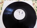 LEO SAYER. ENDLESS FLIGHT -LP- WHITE LABEL TEST PRESSING- ISLAND RECORDS (1976)