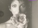 Kate Bush  Remastered in Vinyl II - 4 x 180gsm Vinyl LP Boxset - 2018 Sealed New