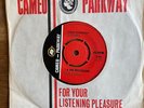 Garage /Psych ? AND THE MYSTERIANS 8 TEEN / I NEED SOMEBODY CAMEO/PARKWAY C 441